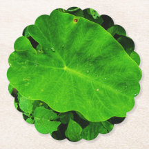 Blatt-Papierteller