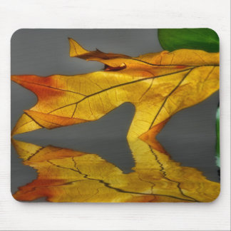 Blatt-Reflexion Mousepad