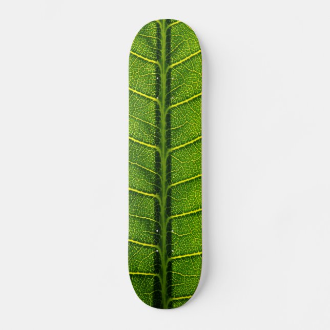Blatt Skateboard (Vorderseite)