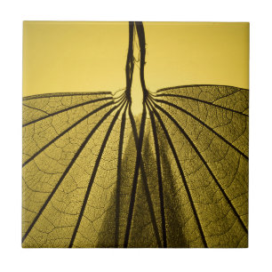 Blatt-Skelett Fliese