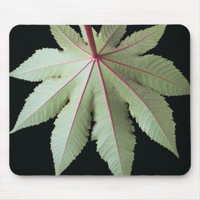 Blatt und Stamm Mousepad (Vorne)