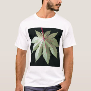 Blatt und Stamm T-Shirt