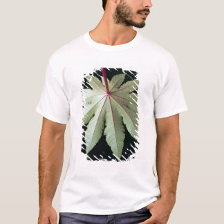 Blatt und Stamm T-Shirt