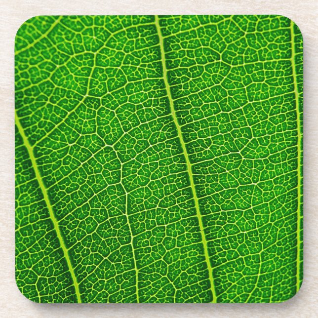 Blatt Untersetzer (Vorderseite)
