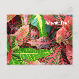 Blätter 3253 Danke, Postcard Postkarte