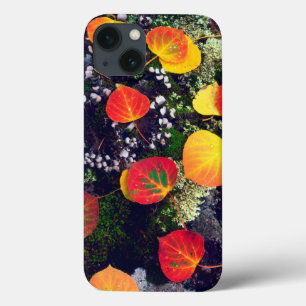 Blätter auf einem Flechten-Felsen, Felsgebirge Case-Mate iPhone Hülle