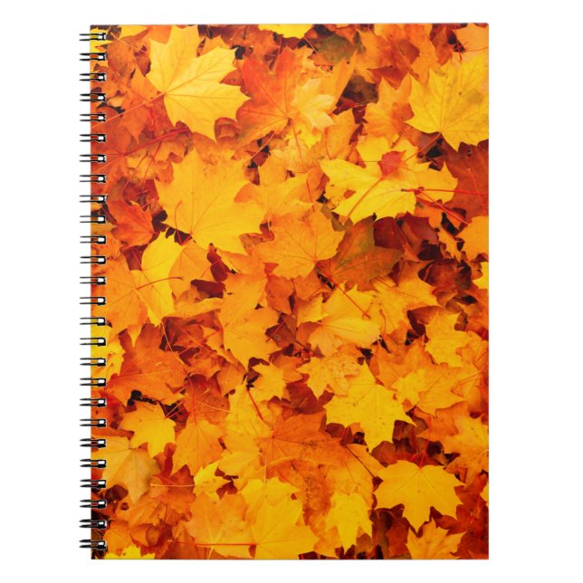 Blätter aus Herbstblättern Notizblock (Vorderseite)