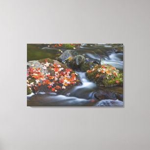 Blätter aus rotem Ahorn Teppichboden in den Felse Leinwanddruck