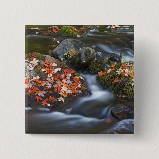 Blätter aus rotem Ahorn Teppichboden in den Felsen Button (Vorderseite)