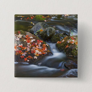 Blätter aus rotem Ahorn Teppichboden in den Felsen Button