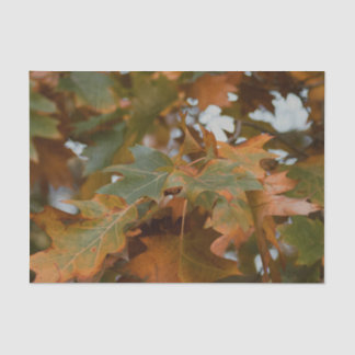 Blätter aus schönem Blattwerk Seidenpapier