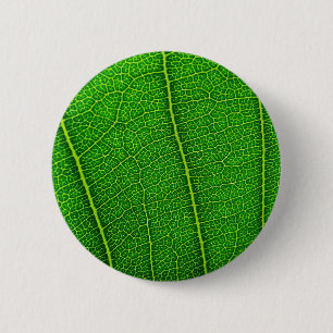 Blätter Button