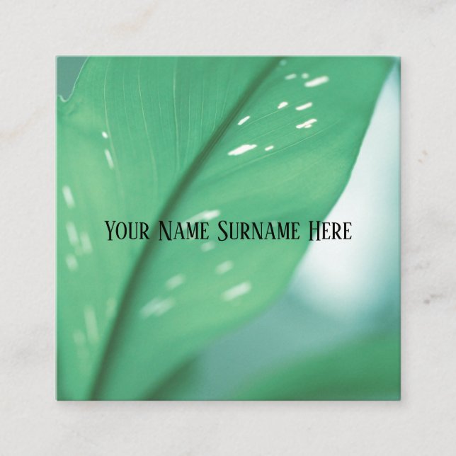 Blätter der blauen grünen Pflanze "Nature Feel Bus Quadratische Visitenkarte (Vorderseite)