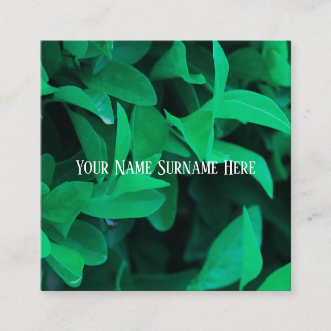 Blätter der blauen grünen Pflanze "Nature Feel Bus Quadratische Visitenkarte (Vorderseite)