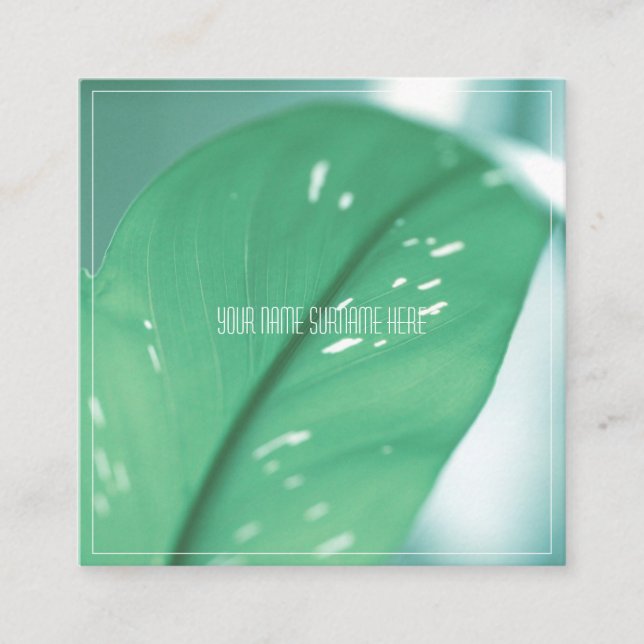 Blätter der blauen grünen Pflanze "Nature Feel Bus Quadratische Visitenkarte (Vorderseite)
