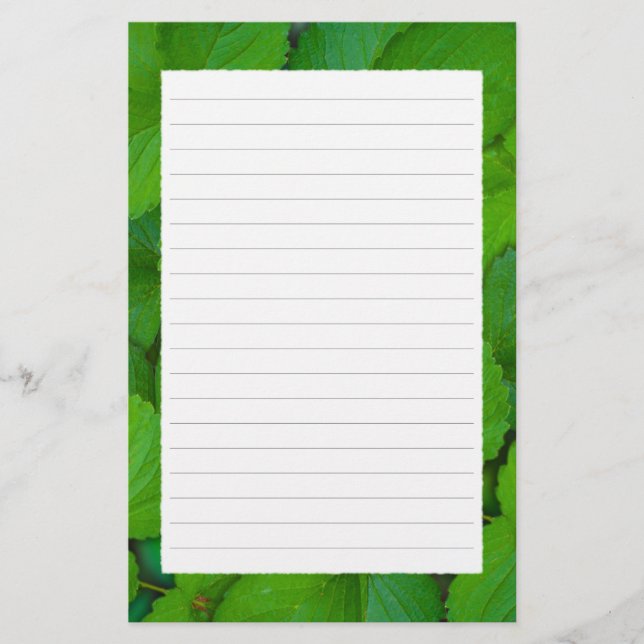 Blätter der Heiligen Basil Tulsi Grüne Münze Briefpapier (Vorderseite)