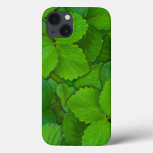 Blätter der Heiligen Basil Tulsi Grüne Münze Case-Mate iPhone Hülle