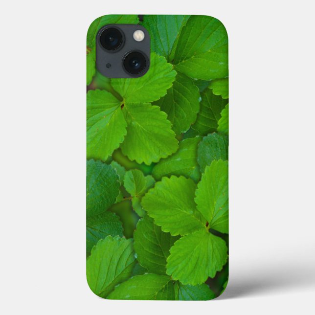 Blätter der Heiligen Basil Tulsi Grüne Münze Case-Mate iPhone Hülle (Rückseite)