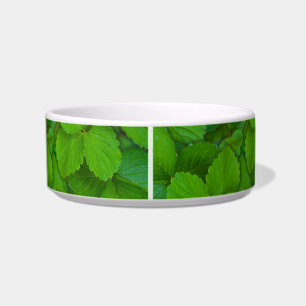 Blätter der Heiligen Basil Tulsi Grüne Münze Napf