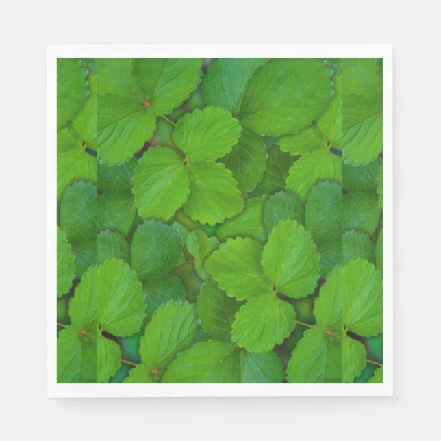 Blätter der Heiligen Basil Tulsi Grüne Münze Serviette (Vorderseite)