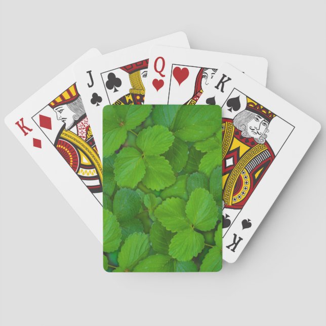 Blätter der Heiligen Basil Tulsi Grüne Münze Spielkarten (Rückseite)