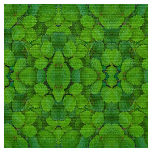 Blätter der Heiligen Basil Tulsi Grüne Münze Stoff (Muster)