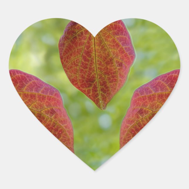 Blätter der Liebe der Natur Herz-Aufkleber (Vorderseite)