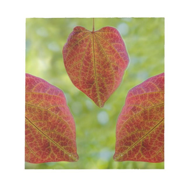 Blätter der Liebe der Natur Notizblock (Vorderseite)