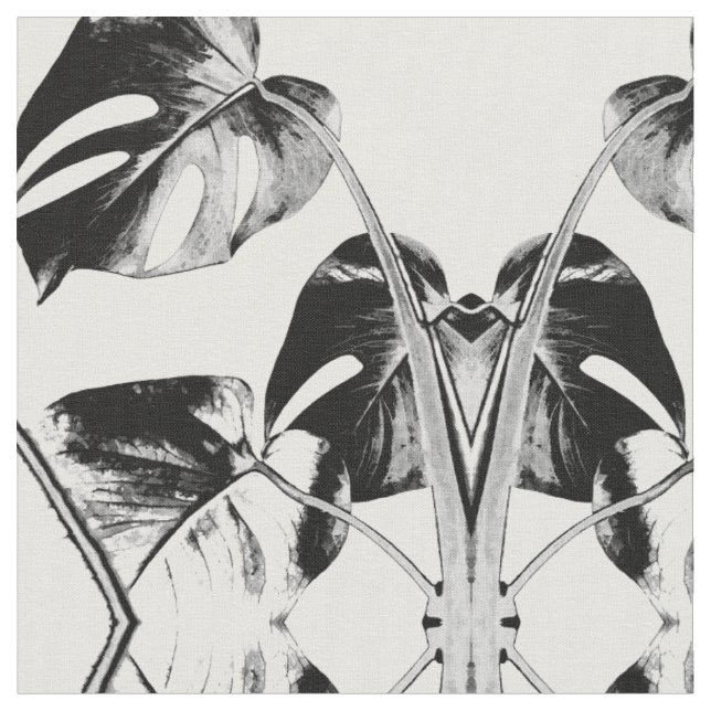 Blätter der Monstera-Palme, tropisch schwarz-weiß Stoff (Nahaufnahme)