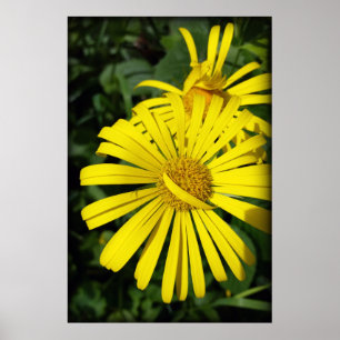 Blätter der Rebellen Poster