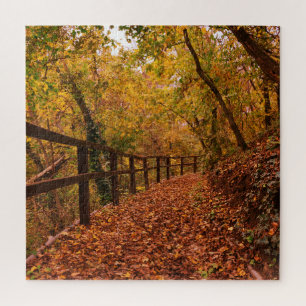 Blätter des Herbstfalls Bäume Natur orange Gelb Puzzle