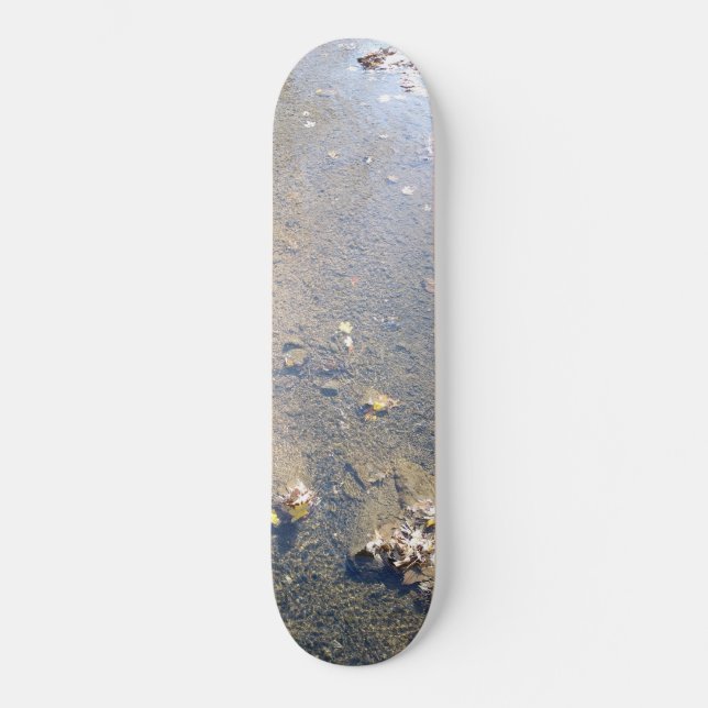 Blätter des Naturschutzgebietes Naturschutzgebiet  Skateboard (Vorderseite)
