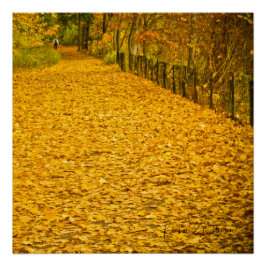 BLÄTTER, DIE WILD FALL FOLIAGE GEHEN POSTER