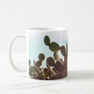 Blätter eines Kaktus. Pflanze outdoor mit Flare-Li Kaffeetasse
