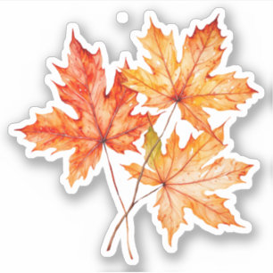 Blätter für Aquarellmaple Aufkleber