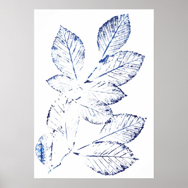 Blätter für Blaubirken, Pflanze 1 Poster (Vorne)