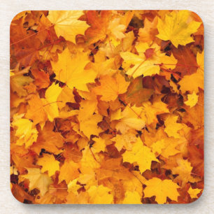 Blätter für die Herbstgelbe Maple Getränkeuntersetzer