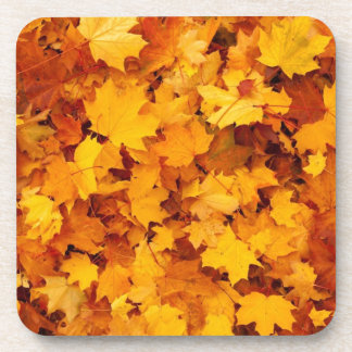 Blätter für die Herbstgelbe Maple Getränkeuntersetzer