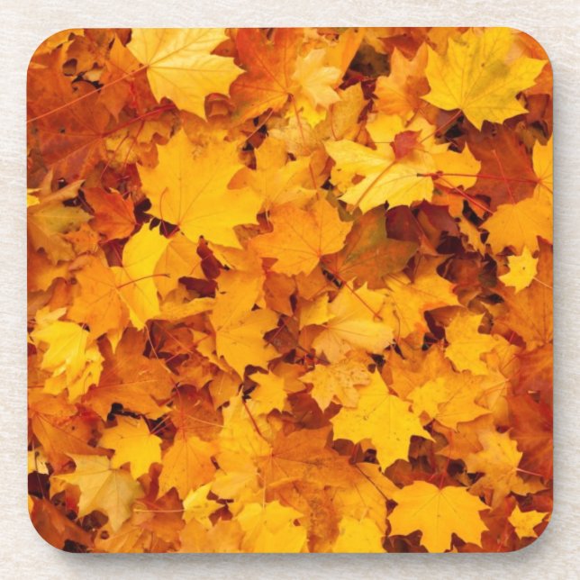 Blätter für die Herbstgelbe Maple Getränkeuntersetzer (Vorderseite)