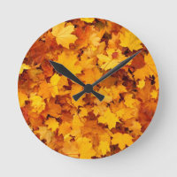 Blätter für die Herbstgelbe Maple