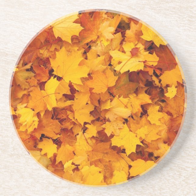 Blätter für die Herbstgelbe Maple Sandstein Untersetzer (Vorne)