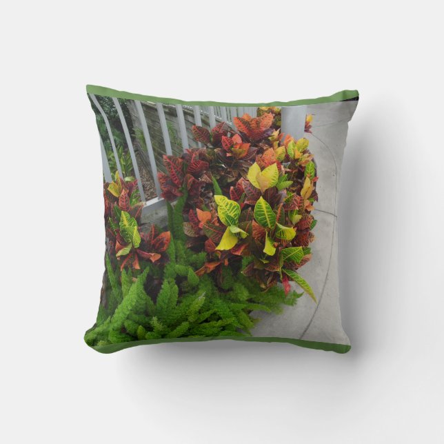 Blätter für die Pflanze Kissen (Vorderseite)