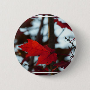 Blätter für Ferien Button