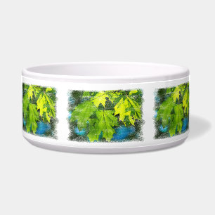 Blätter für frischen grünen Ahorn Napf