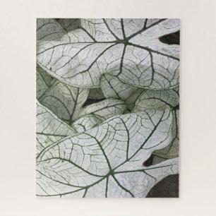 Blätter für grünes Weißkaladium Puzzle