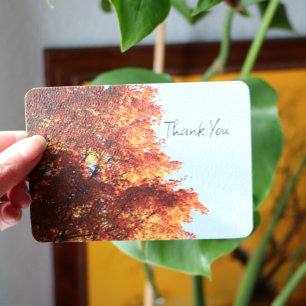 Blätter für Herbstmaple Feiertagskarte