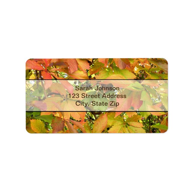 Blätter für wild lebende Weintrauben im Herbst Adressaufkleber (Vorne)