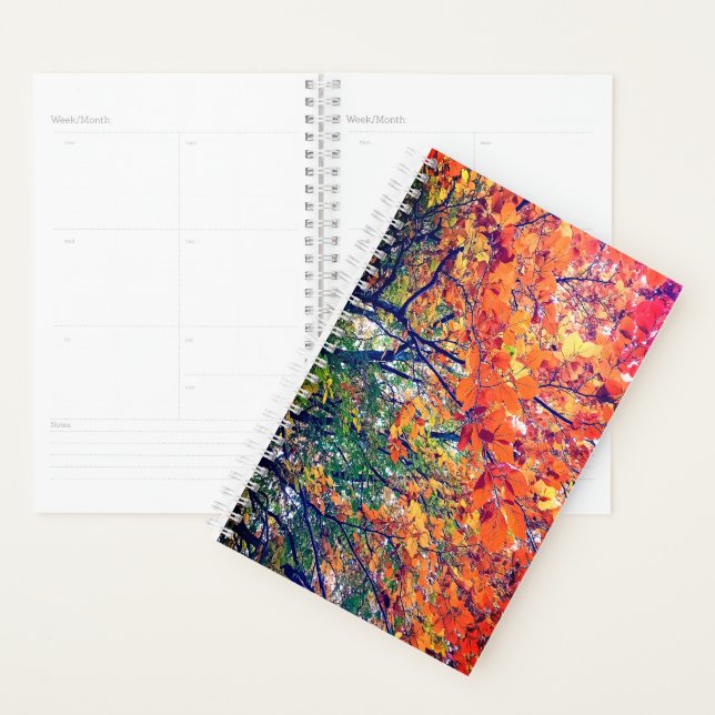 Blätter grün, gelb und orange planer (Anzeige)