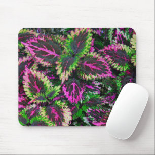 BLÄTTER GRÜNE UND MAGENTA COLEUS MOUSEPAD