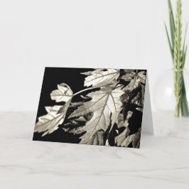 Blätter [Grußkarte] Karte